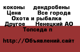 коконы    дендробены › Цена ­ 25 - Все города Охота и рыбалка » Другое   . Ненецкий АО,Топседа п.